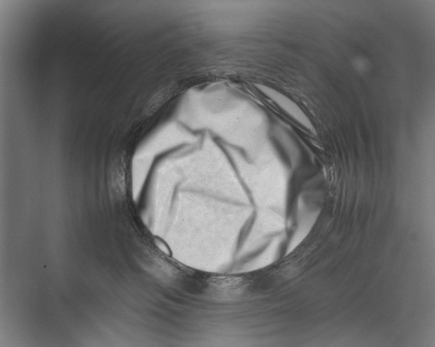 X0000075360334200610061753