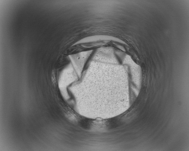 X0000075360335200610061753