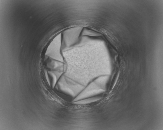 X0000075360338200610061752