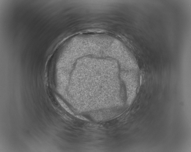 X0000075360339200610061752