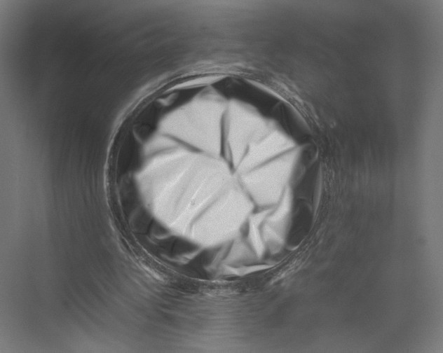 X0000075360340200610061752