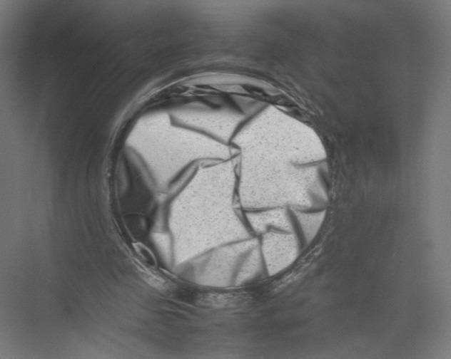 X0000075360341200610061752