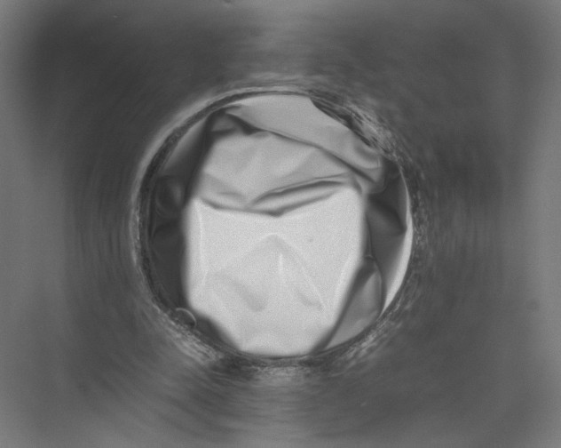 X0000075360342200610061752