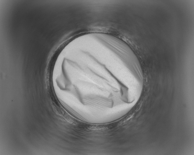 X0000075360343200610061752