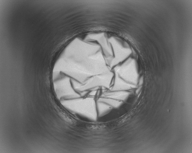 X0000075360345200610061752