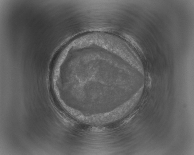 X0000075360346200610061752