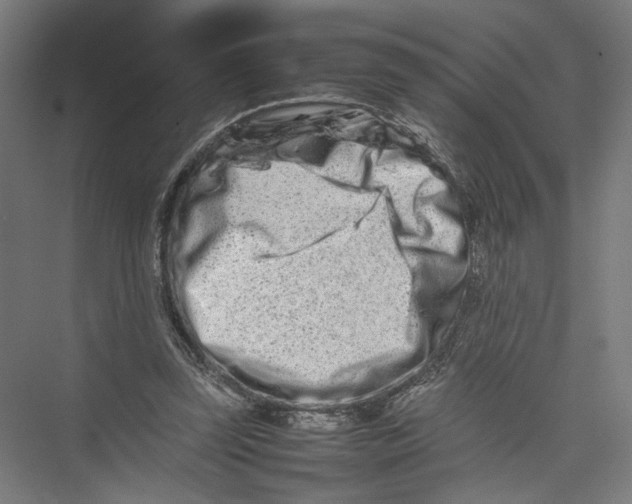 X0000075360347200610061752