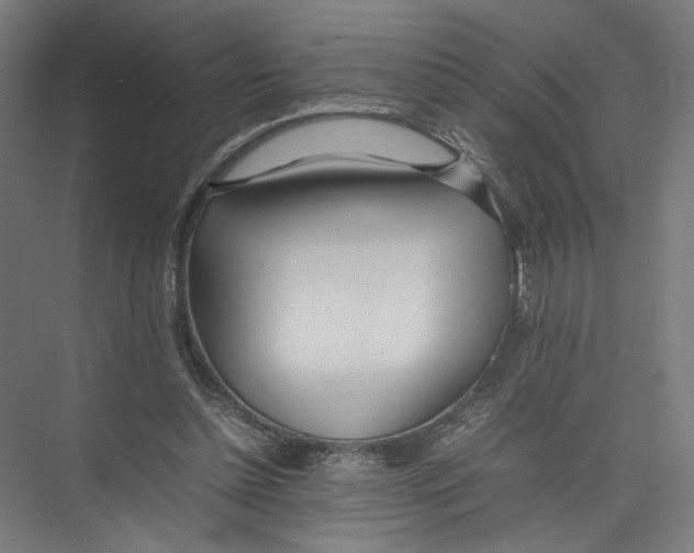 X0000075360348200610061752