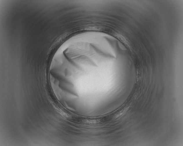 X0000075360349200610061752