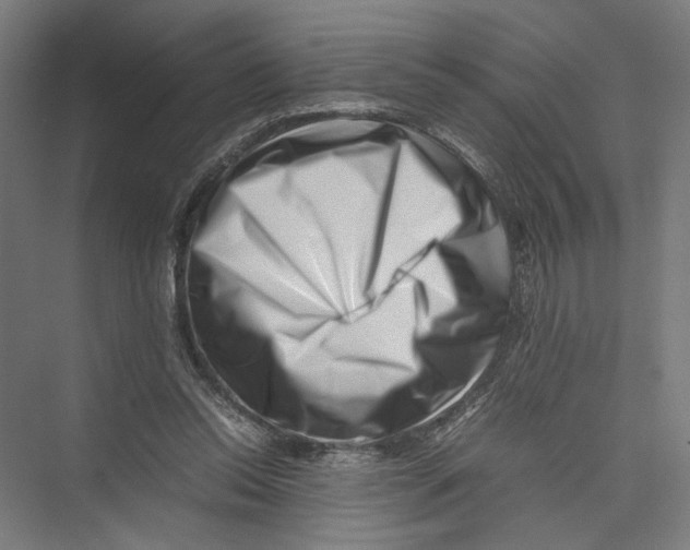 X0000075360350200610061752