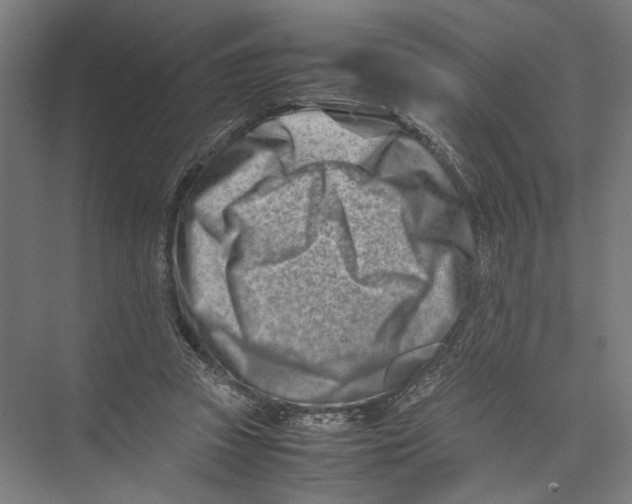 X0000075360353200610061752