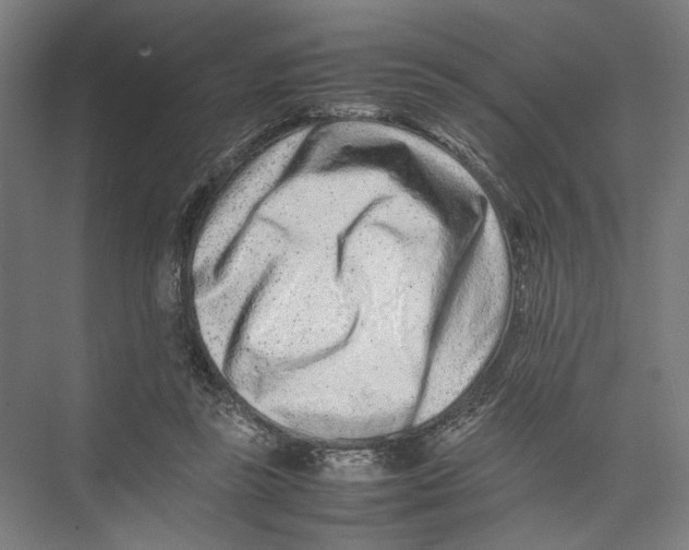 X0000075360355200610061753