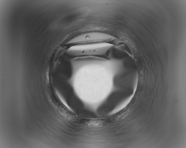 X0000075360358200610061753