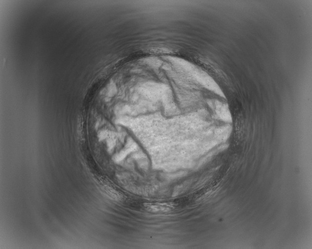 X0000075360359200610061753