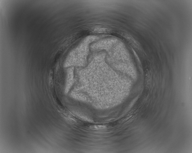 X0000075360361200610061753