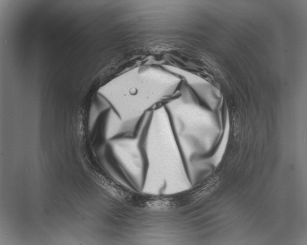 X0000075360362200610061753