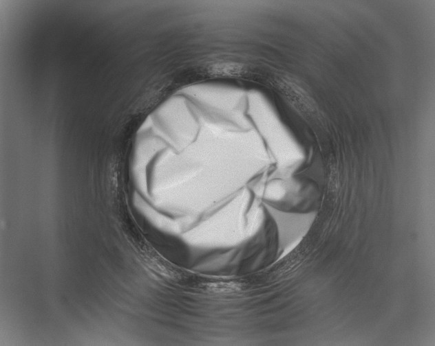 X0000075360363200610061753