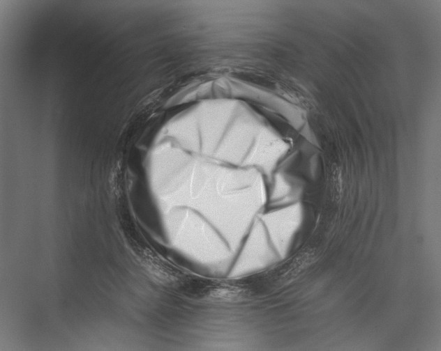 X0000075360364200610061753