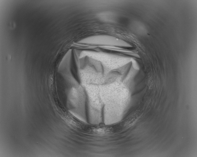 X0000075360365200610061753