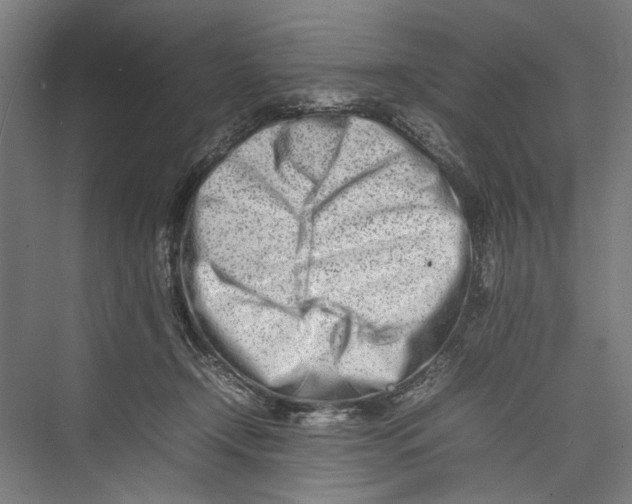 X0000075360366200610061753