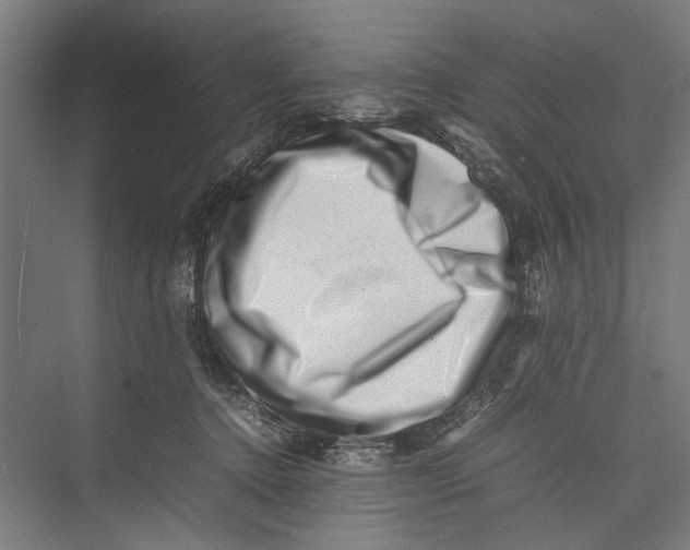 X0000075360368200610061753