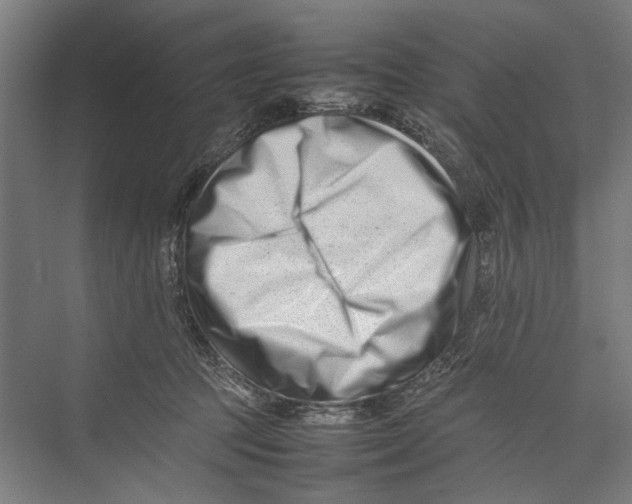 X0000075360369200610061753