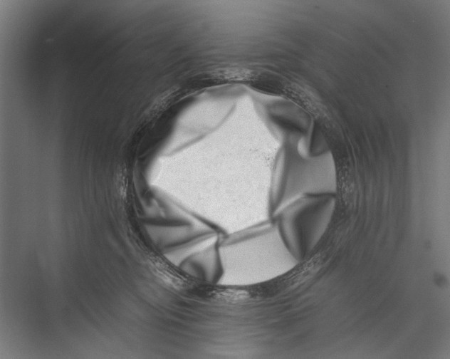 X0000075360374200610061753