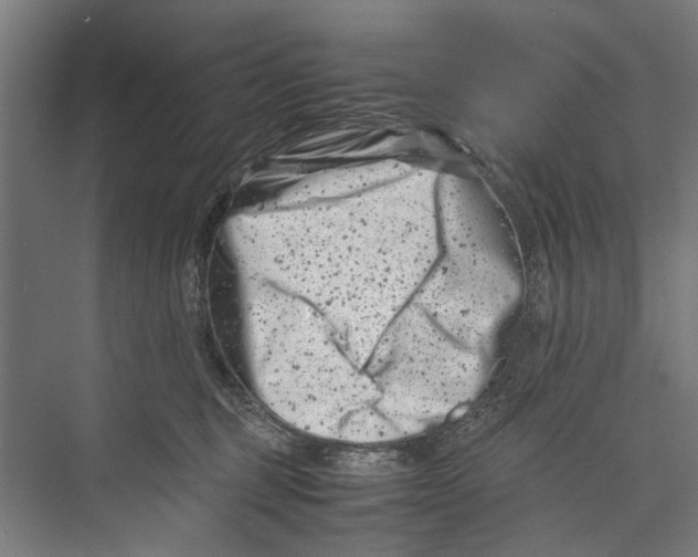 X0000075360375200610061753