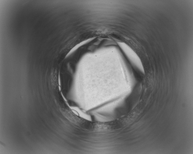 X0000075360376200610061753