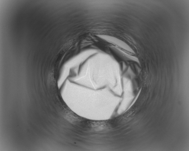 X0000075360377200610061753