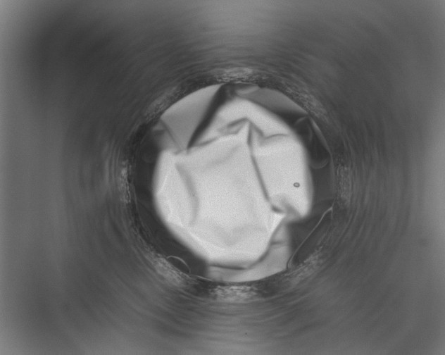 X0000075360378200610061753