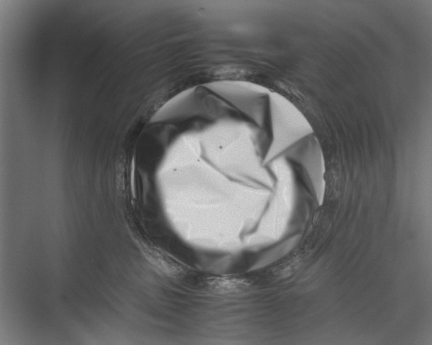 X0000075360379200610061753