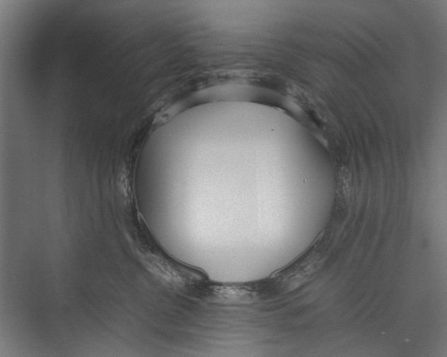 X0000075360380200610061753