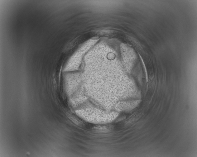 X0000075360381200610061753