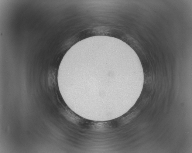 X0000075360382200610061753