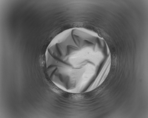 X0000075360383200610061753