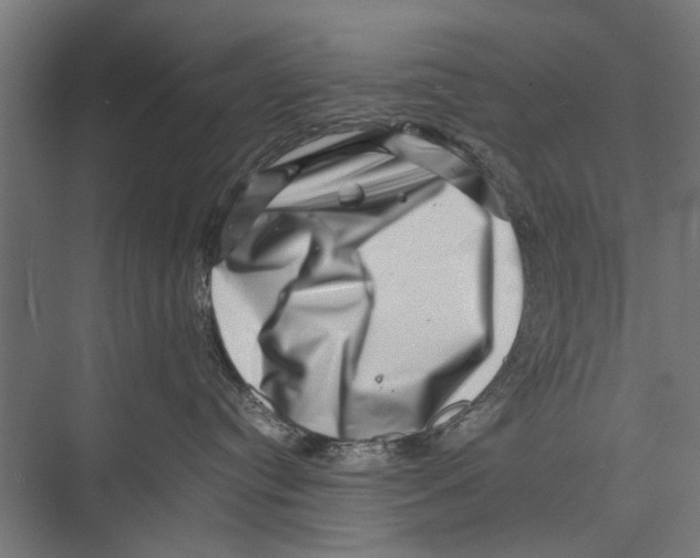 X0000075360384200610061753