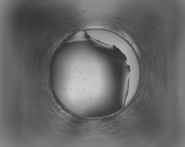 X0000075360385200610061752