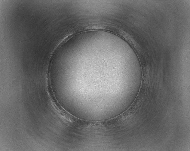 X0000075360386200610061752