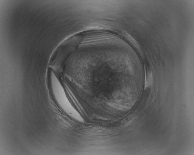 X0000075360387200610061752