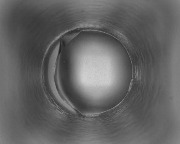 X0000075360388200610061752