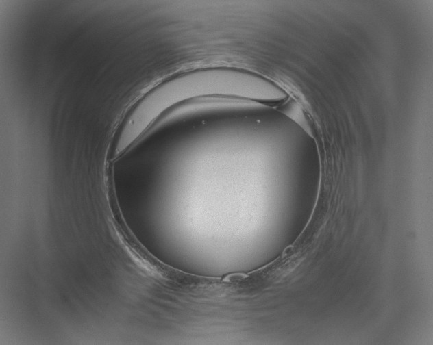 X0000075360389200610061752