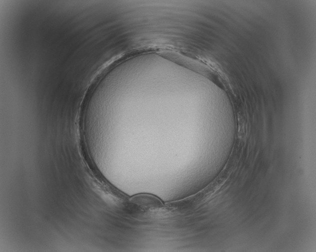 X0000075360390200610061752