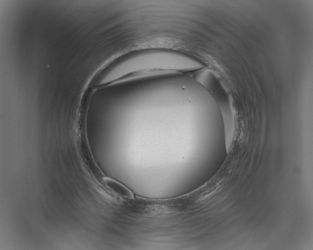 X0000075360392200610061752