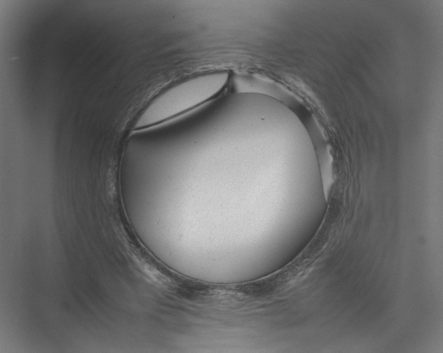 X0000075360393200610061752