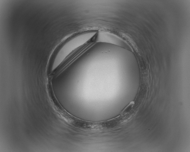 X0000075360395200610061752