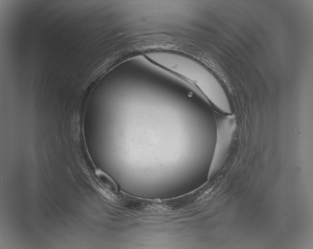 X0000075360397200610061752