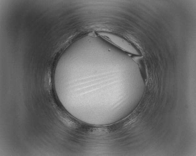 X0000075360398200610061752