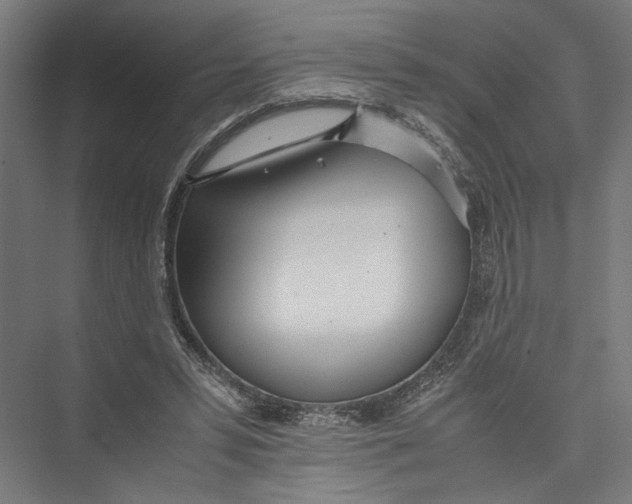 X0000075360399200610061752