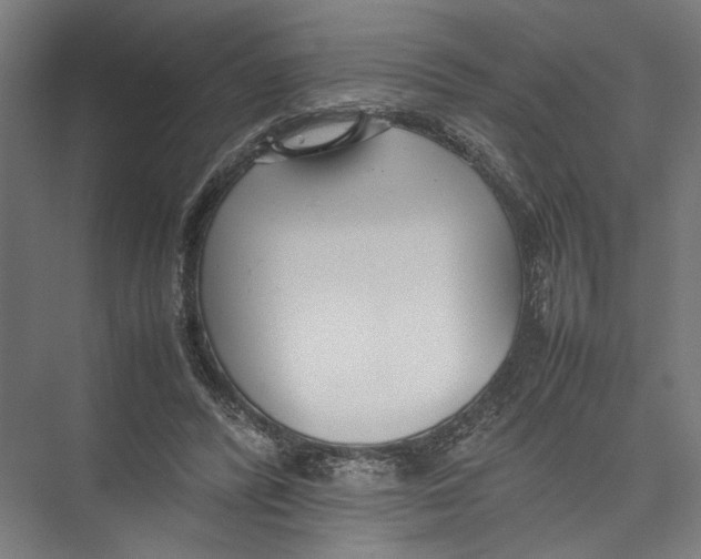 X0000075360400200610061752